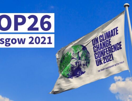 Birleşmiş Milletler İklim Değişikliği Taraflar Konferansı